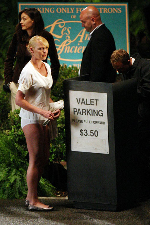 Katherine Heigl panties