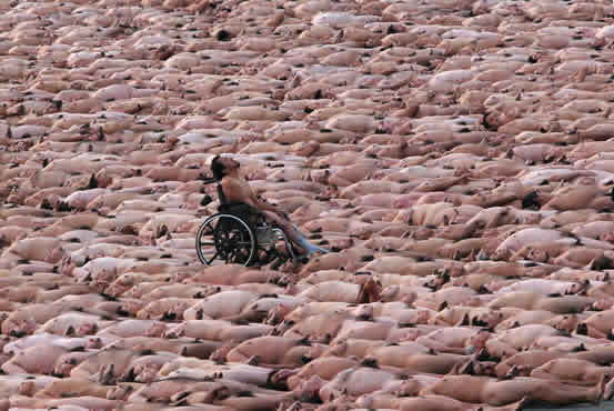 Tunick en Zocalo